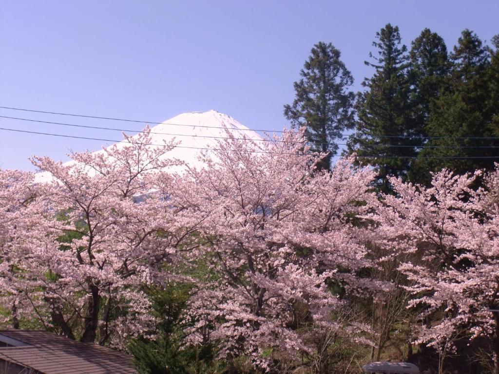 Hotel Nishimiyasou Fujikawaguchiko Exterior foto